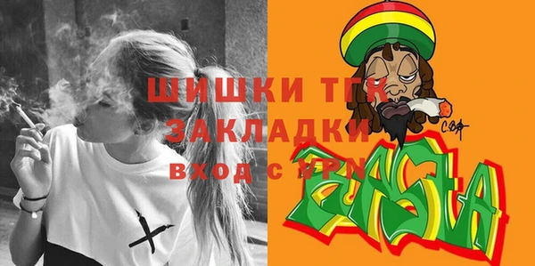 сатива Абаза