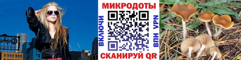 дарнет шоп  Нижняя Тура  ссылка на мегу рабочий сайт  Псилоцибиновые грибы GOLDEN TEACHER 